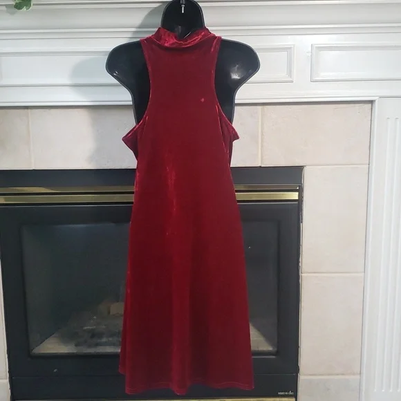 Viereck Wine Crushed Velvet Dress. Size Large. - Picture 4 of 8